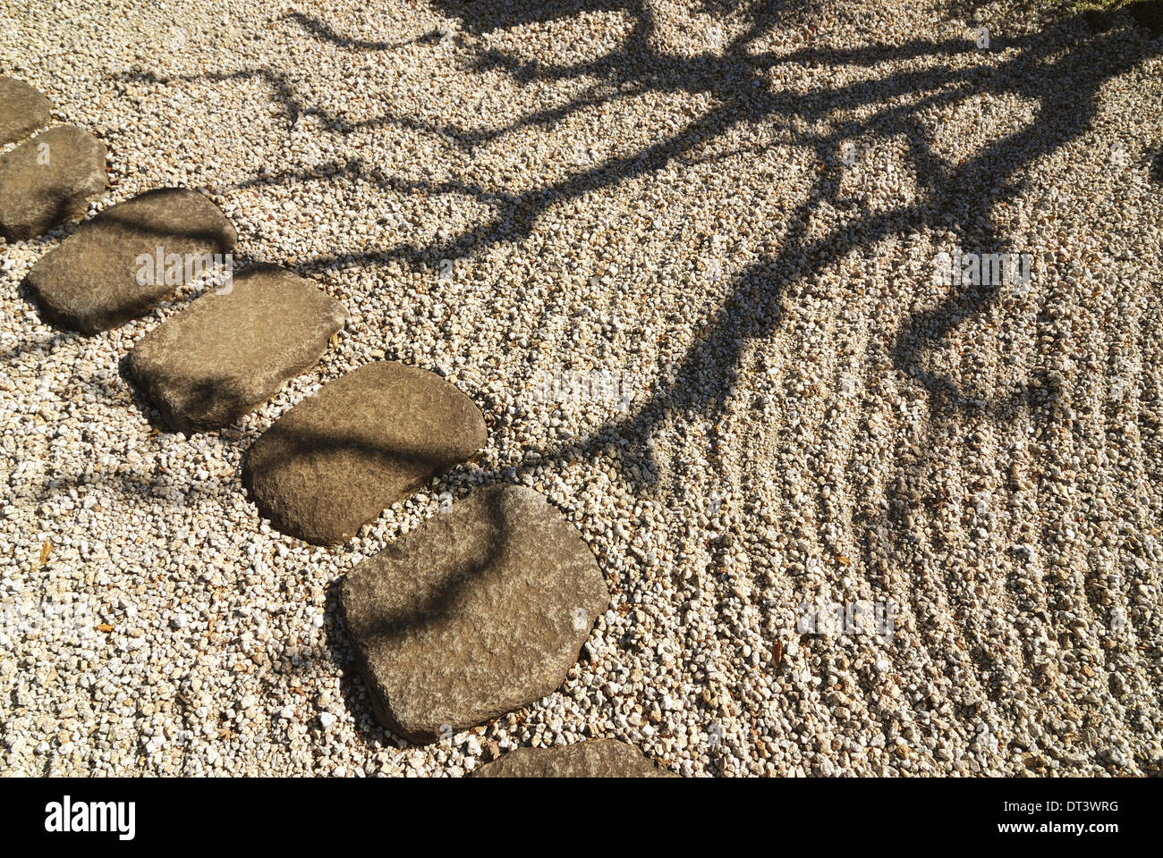 Japanese Garden In The Shadow Stock Photo Alamy