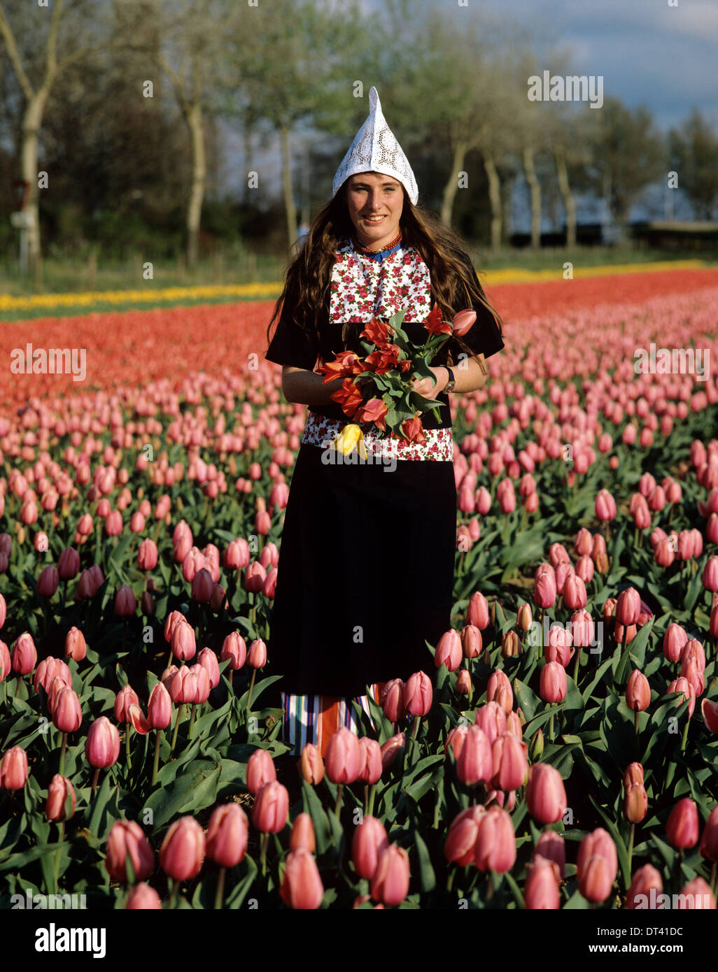 Holland, Lisse, smiling Dutch Lady in costume in tulip farm harvesting bulbs. Stock Photo