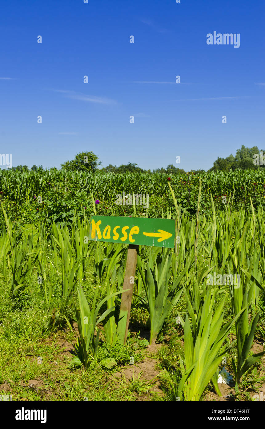 flowers themselves pick Stock Photo Alamy