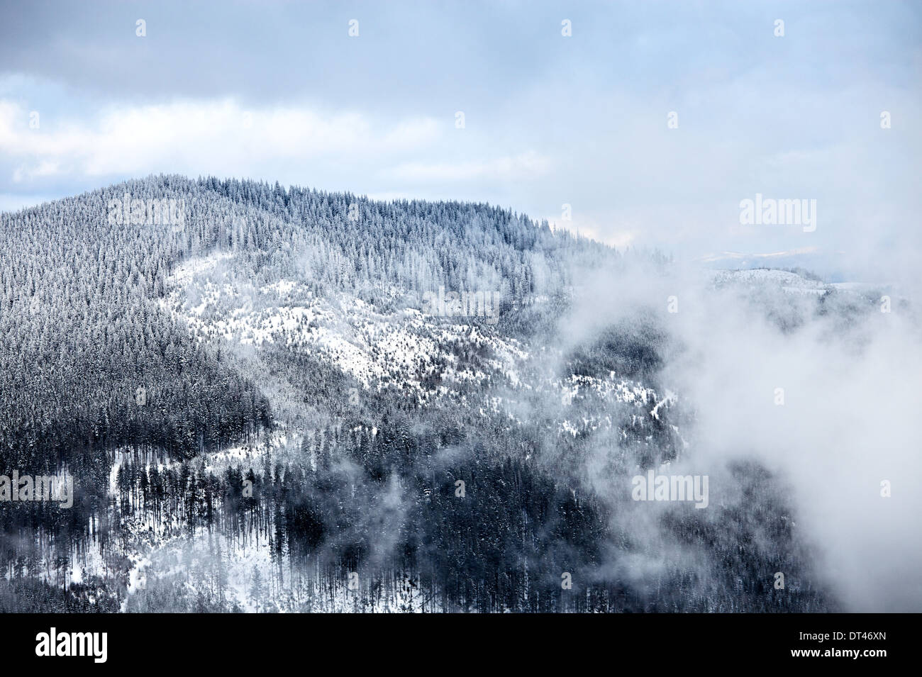 Winter at Great Smoky Mountain Stock Photo