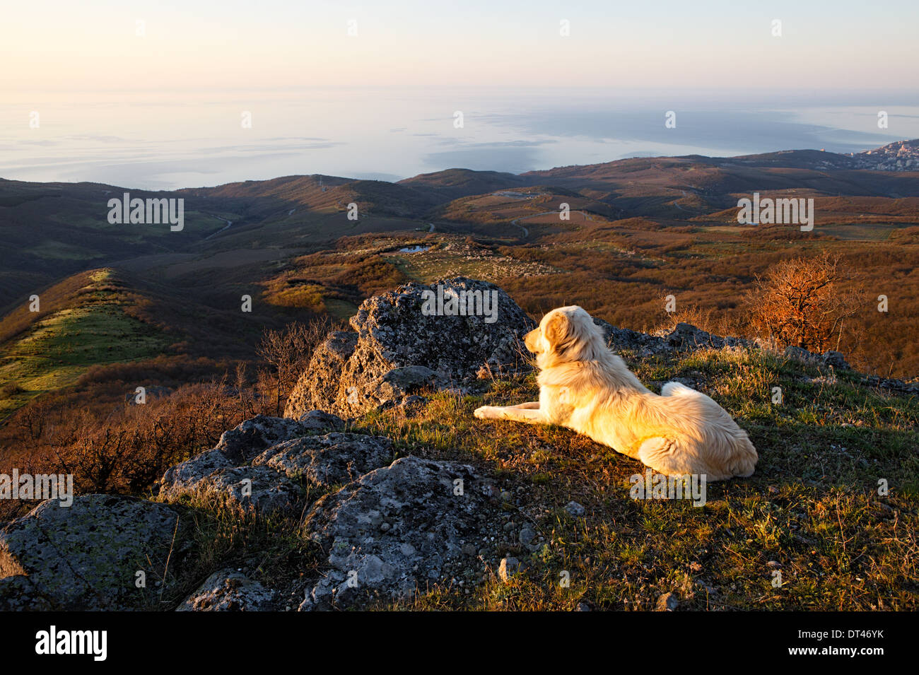 Big shepherd on the rocky mountain hill Stock Photo