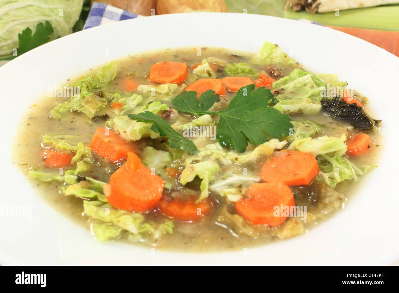 a white plate with savoy cabbage stew Stock Photo