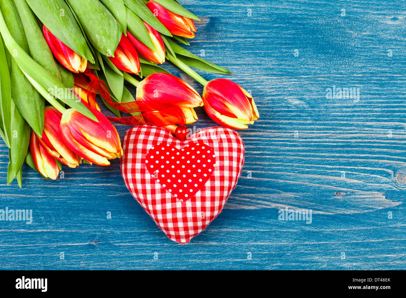 Tulip bouquet on a blue background, heart lining Stock Photo