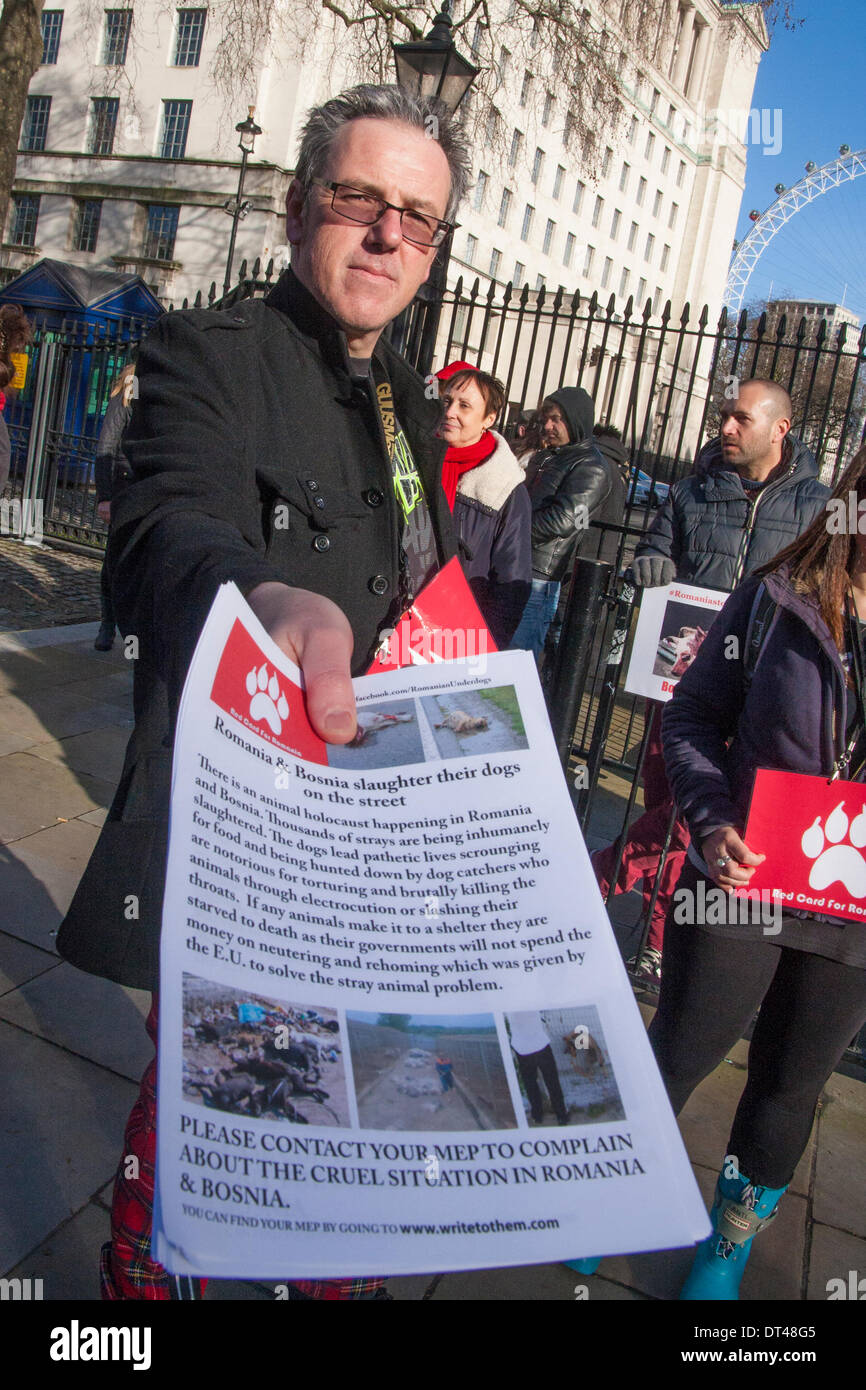 London, UK. 8th February 2014. A man offers a leaflet during a protest outside Downing Street against the inhumane slaughter and neglect of stray dogs in some Romanian animal shelters. Credit:  Paul Davey/Alamy Live News Stock Photo