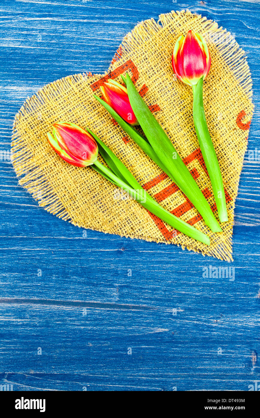 3 Tulips on heart linen Stock Photo