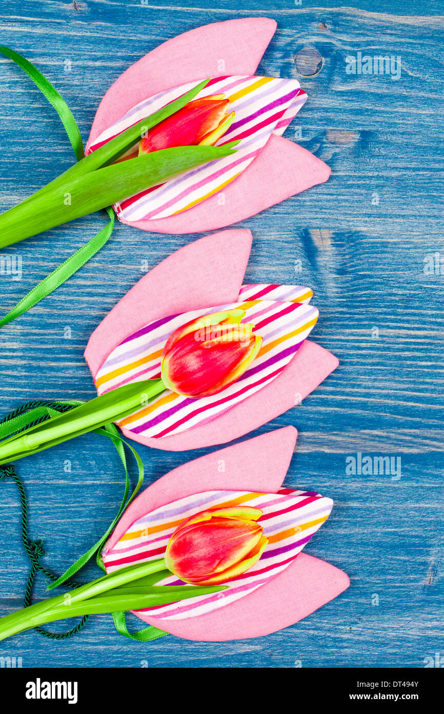 3 Tulips on blue background Stock Photo