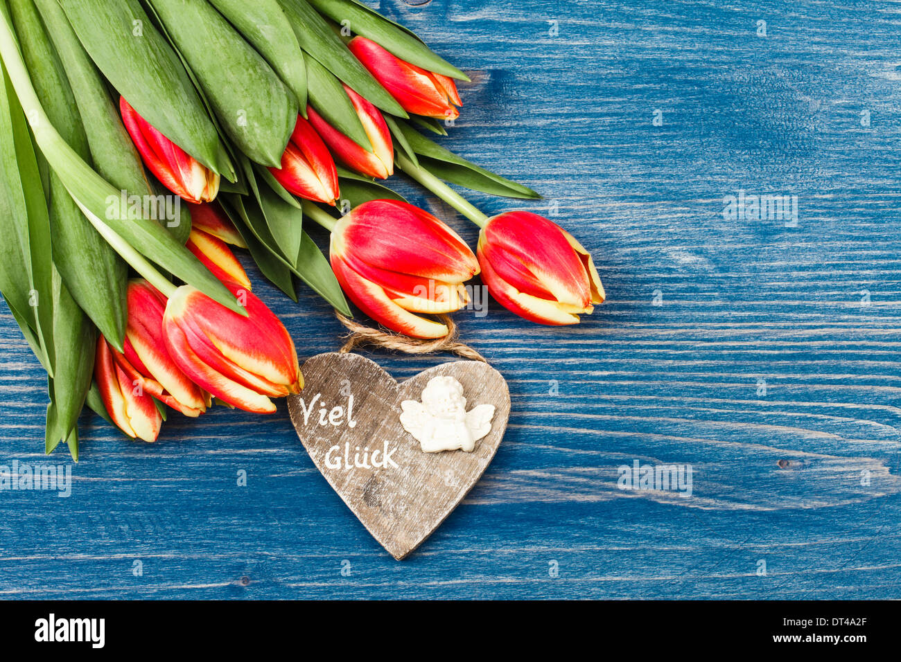 Bouquet of tulips on a blue background and wooden heart Stock Photo