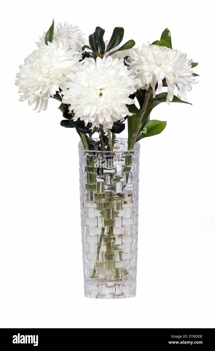 white flowers in a vase on a white background Stock Photo - Alamy