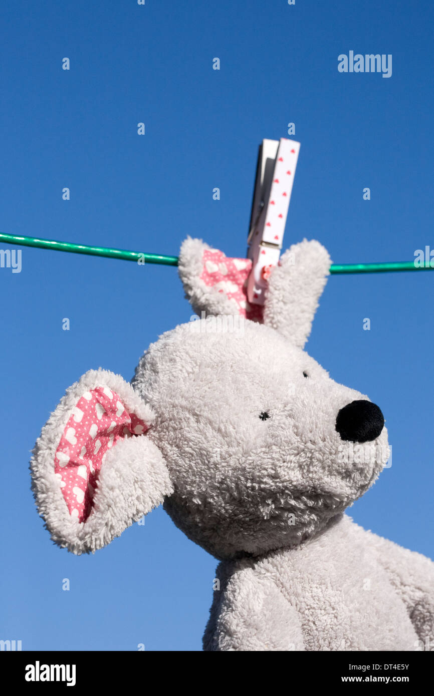 Soft toy mouse hanging on the washing line, against a blue sky background. Stock Photo