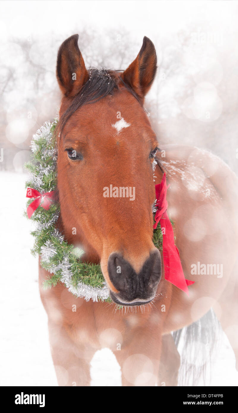 Christmas horse wallpaper on desktop free image   17936