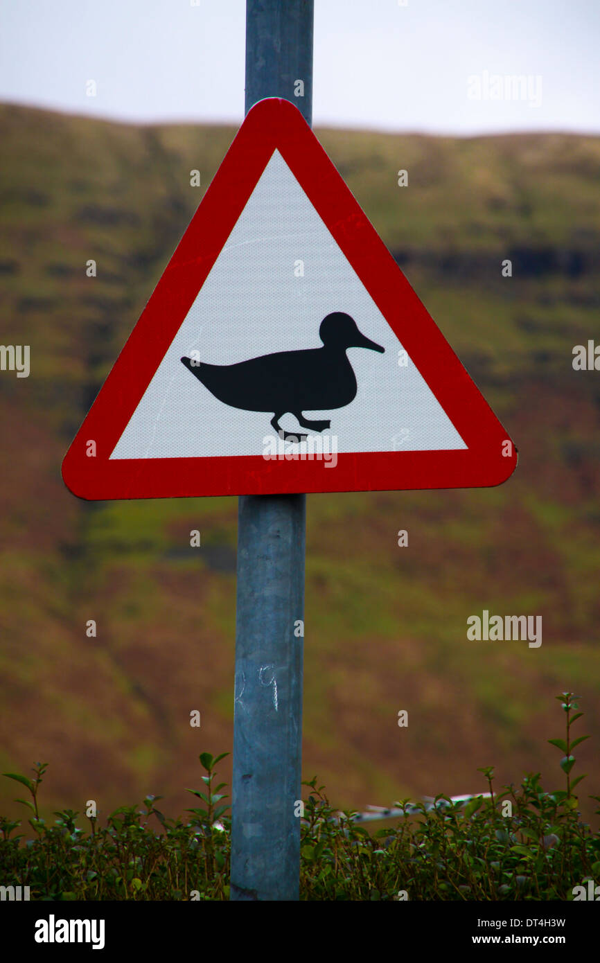 Ducks crossing warning road sign Stock Photo