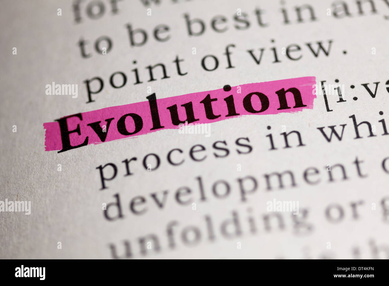 Evolve Fake Ids