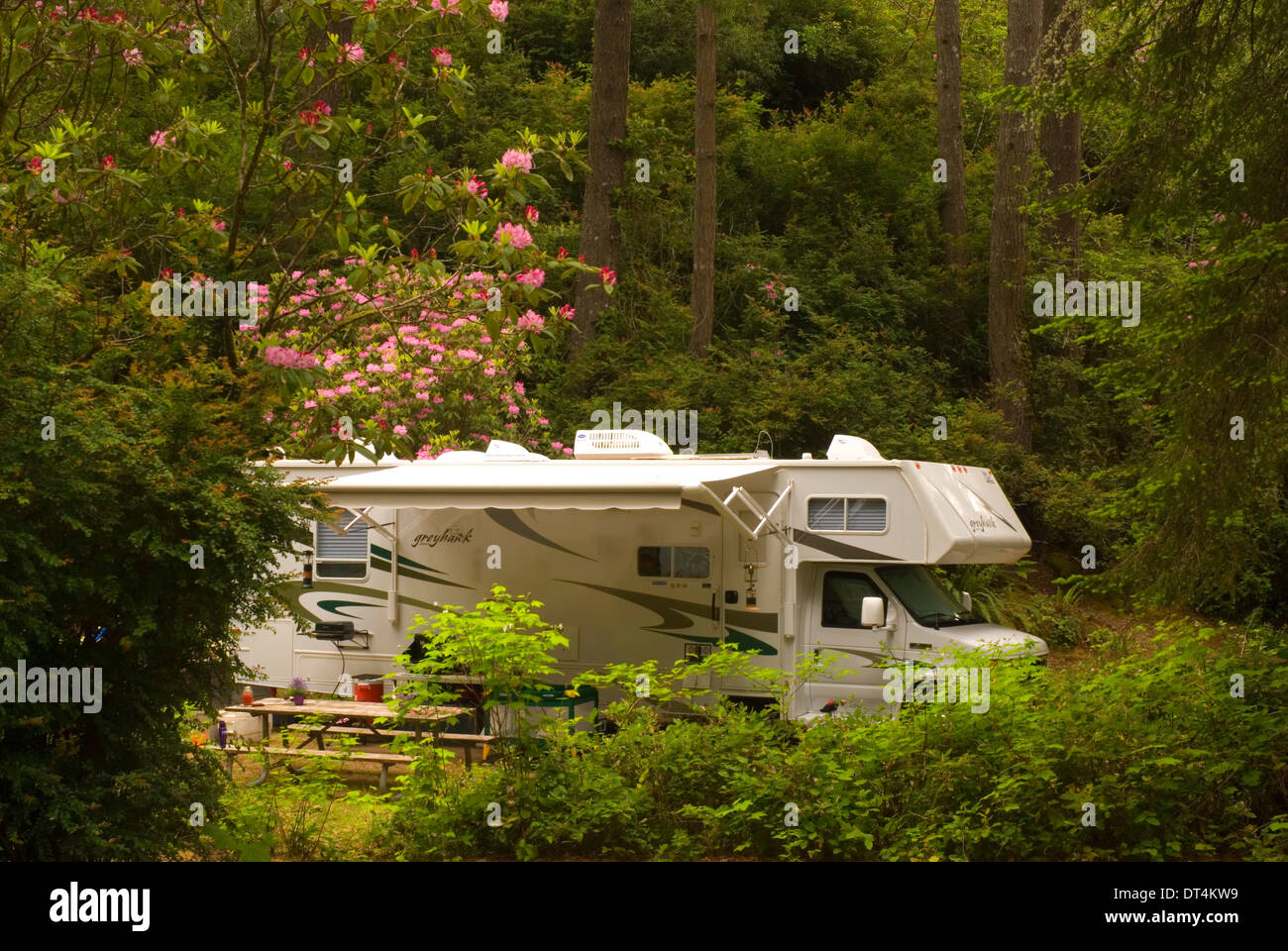 RV in campground, Jessie Honeyman State Park, Oregon Stock Photo Alamy