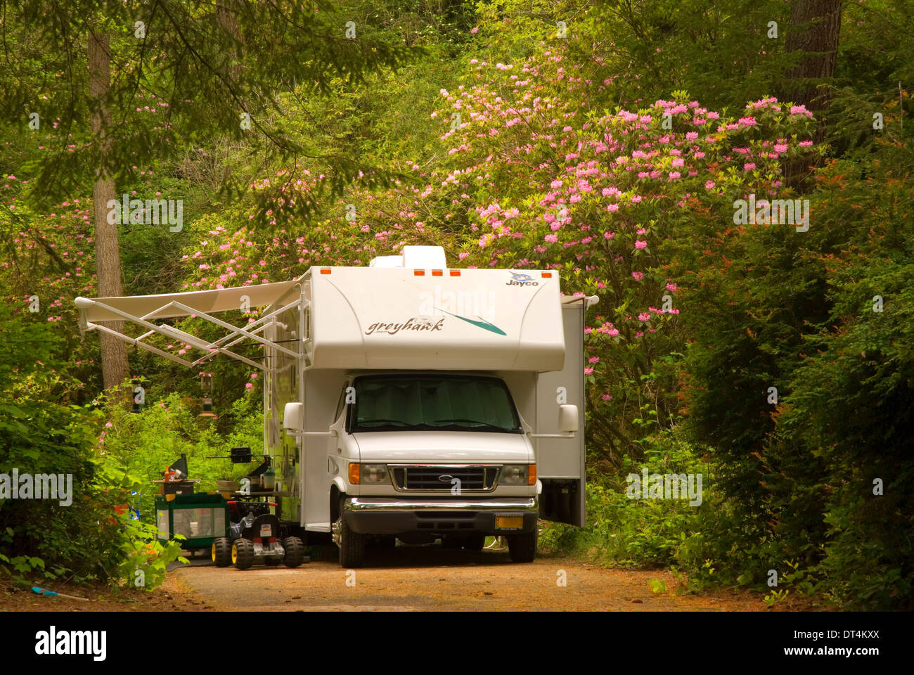 RV in campground, Jessie Honeyman State Park, Oregon Stock Photo Alamy