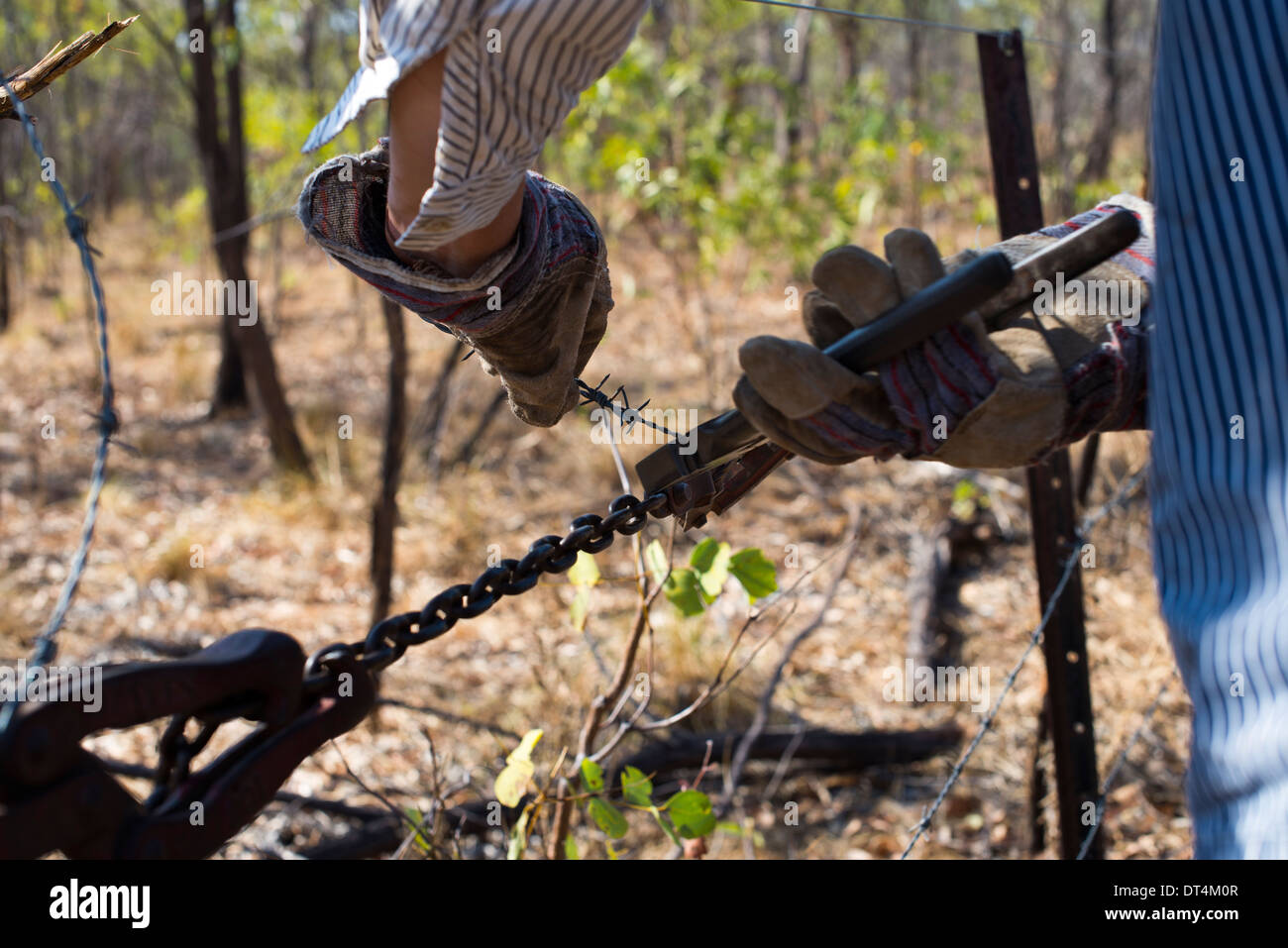 Man using fencing wire strainer and pliers on barbed wire Stock Photo