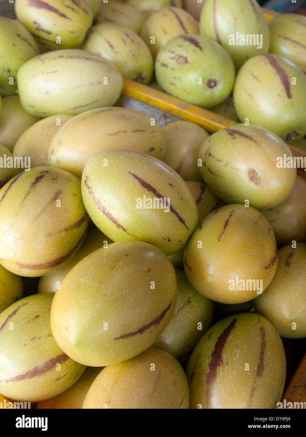 A close-up of Crystal Apples on sale in the Cameron Highlands Stock Photo