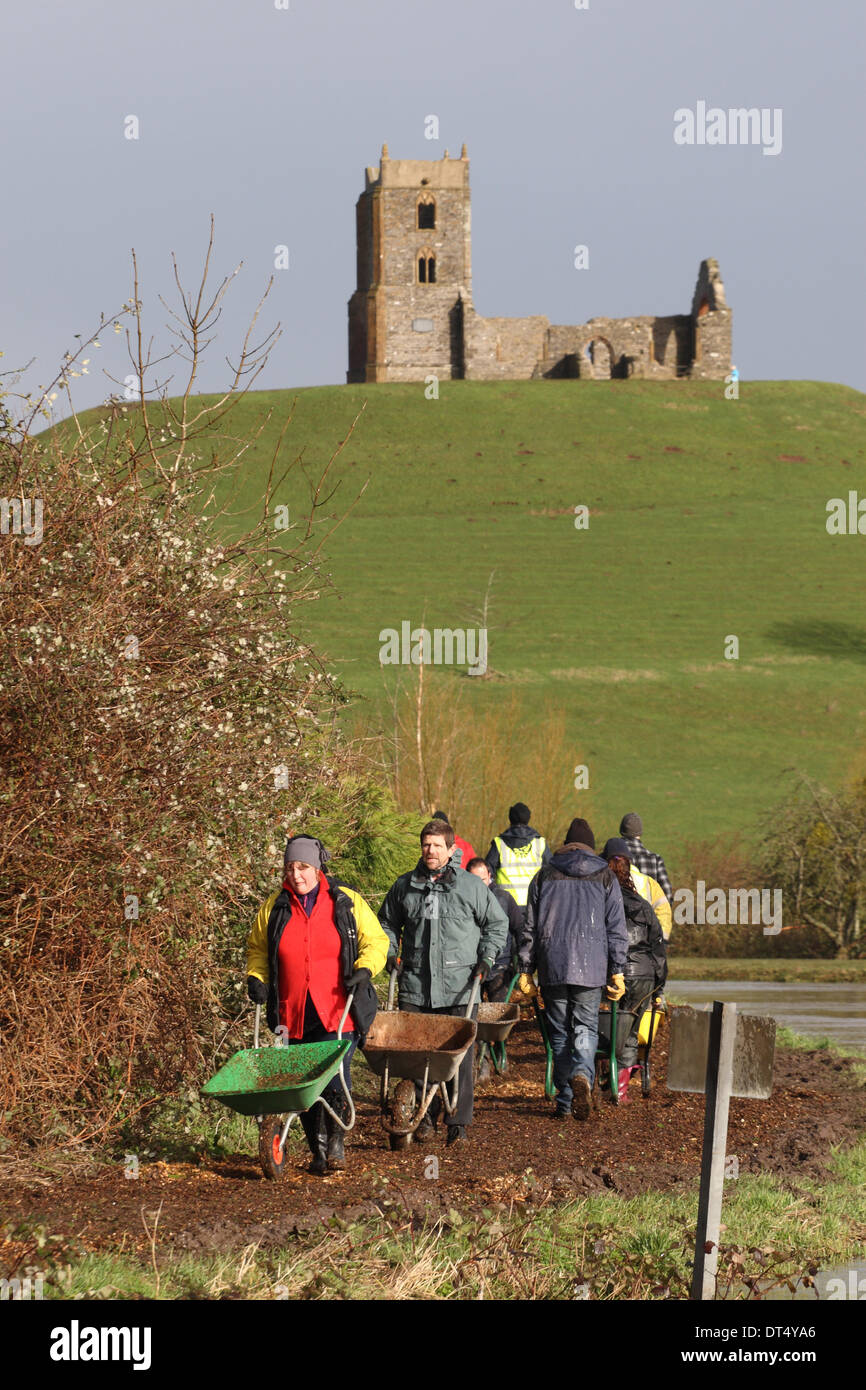 Burrowbridge, Somerset, UK - 9th Feb 2014. Villagers and volunteers carrying wood chippings in wheelbarrows for volunteers to stabilise the only footpath that links the two halves of the village the path runs alongside the swollen River Parrett with Burrow Mump in background. Stock Photo