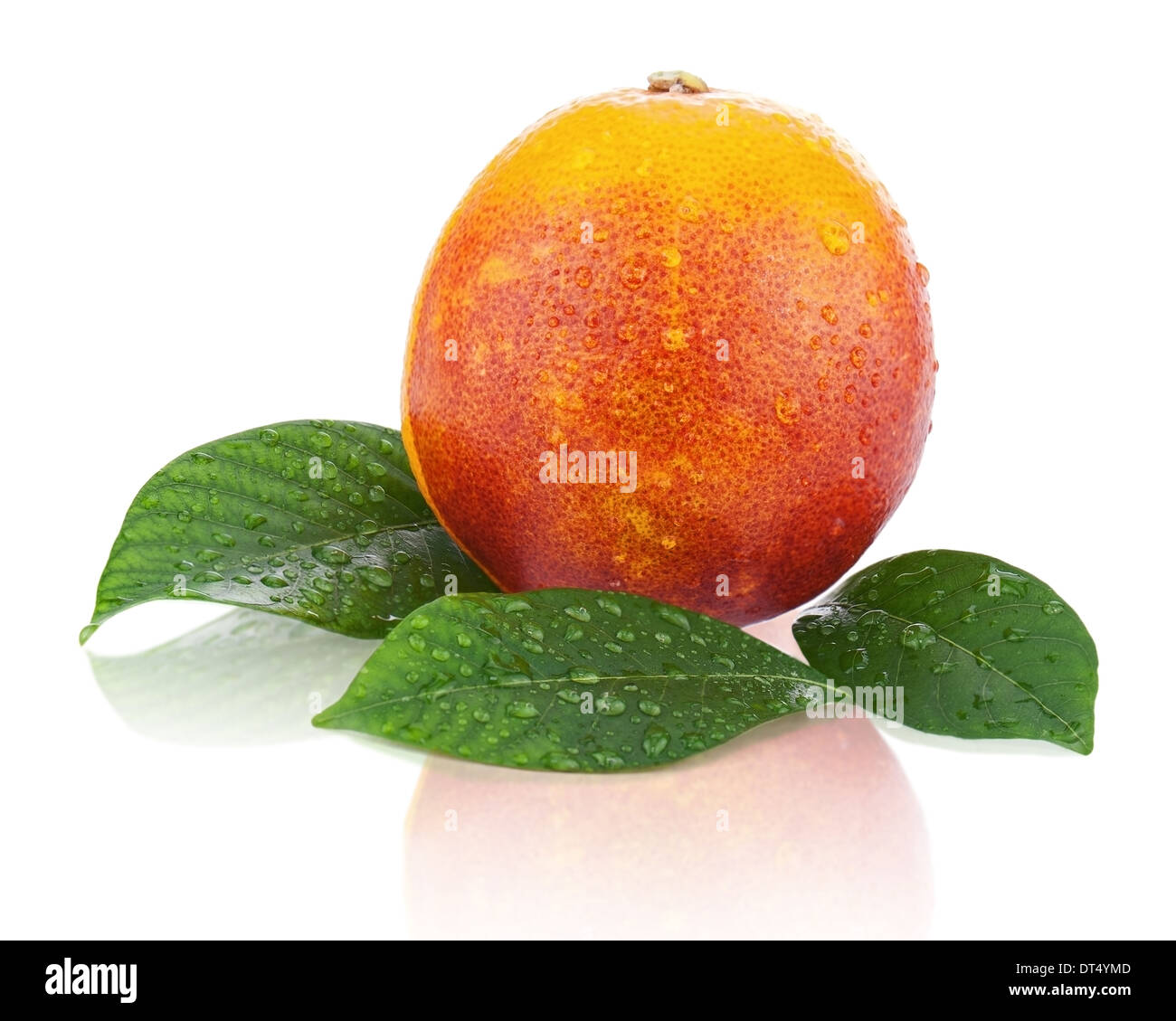 Blood orange with green leaves isolated on white background. Closeup. Stock Photo