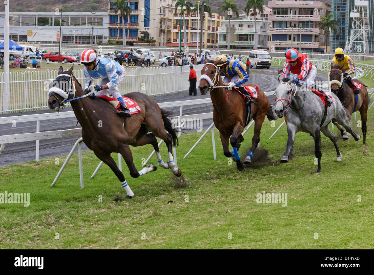 Mauritius horse riding hires stock photography and images Alamy