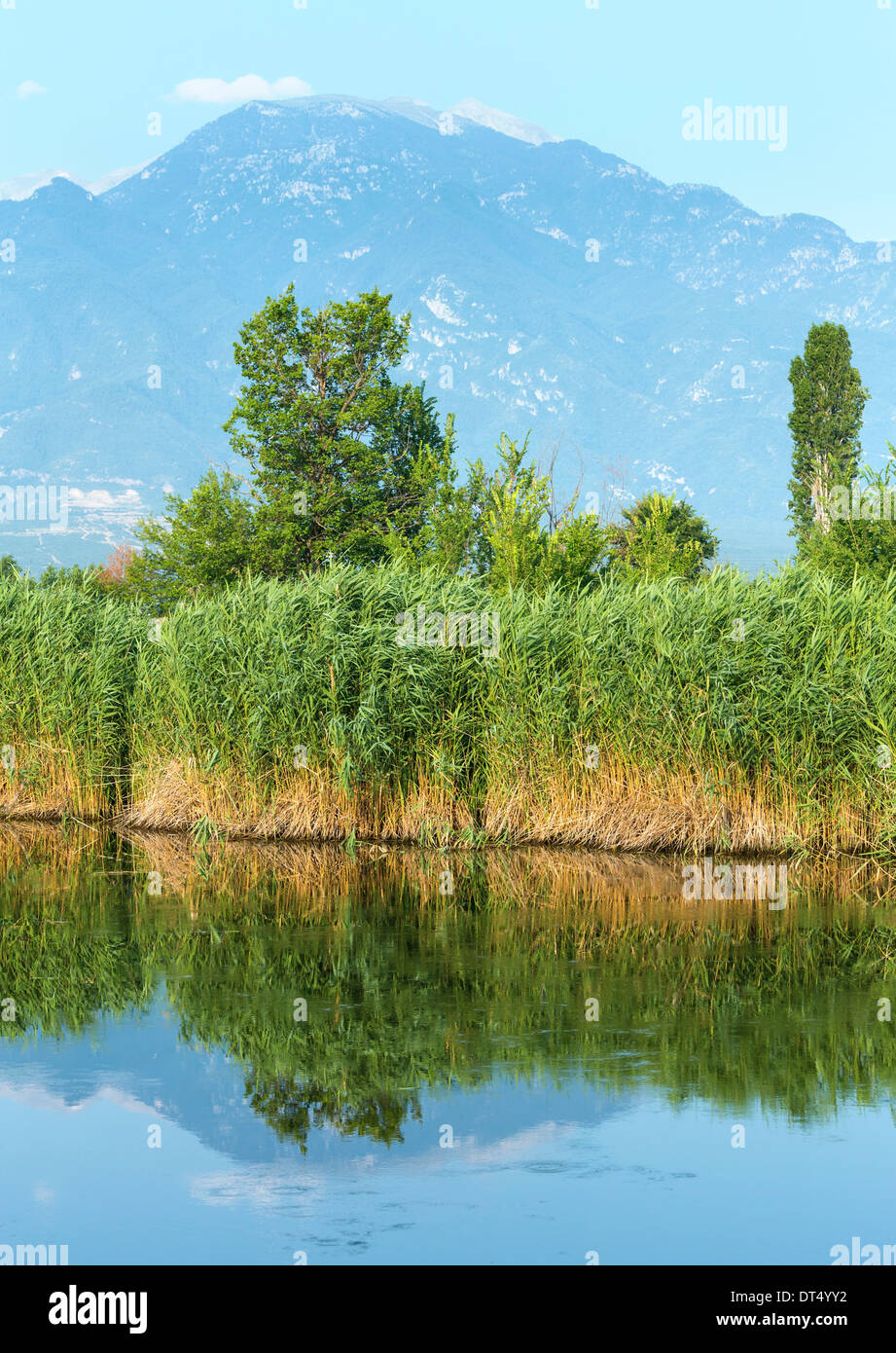 Misty summer morning lake hi-res stock photography and images - Alamy