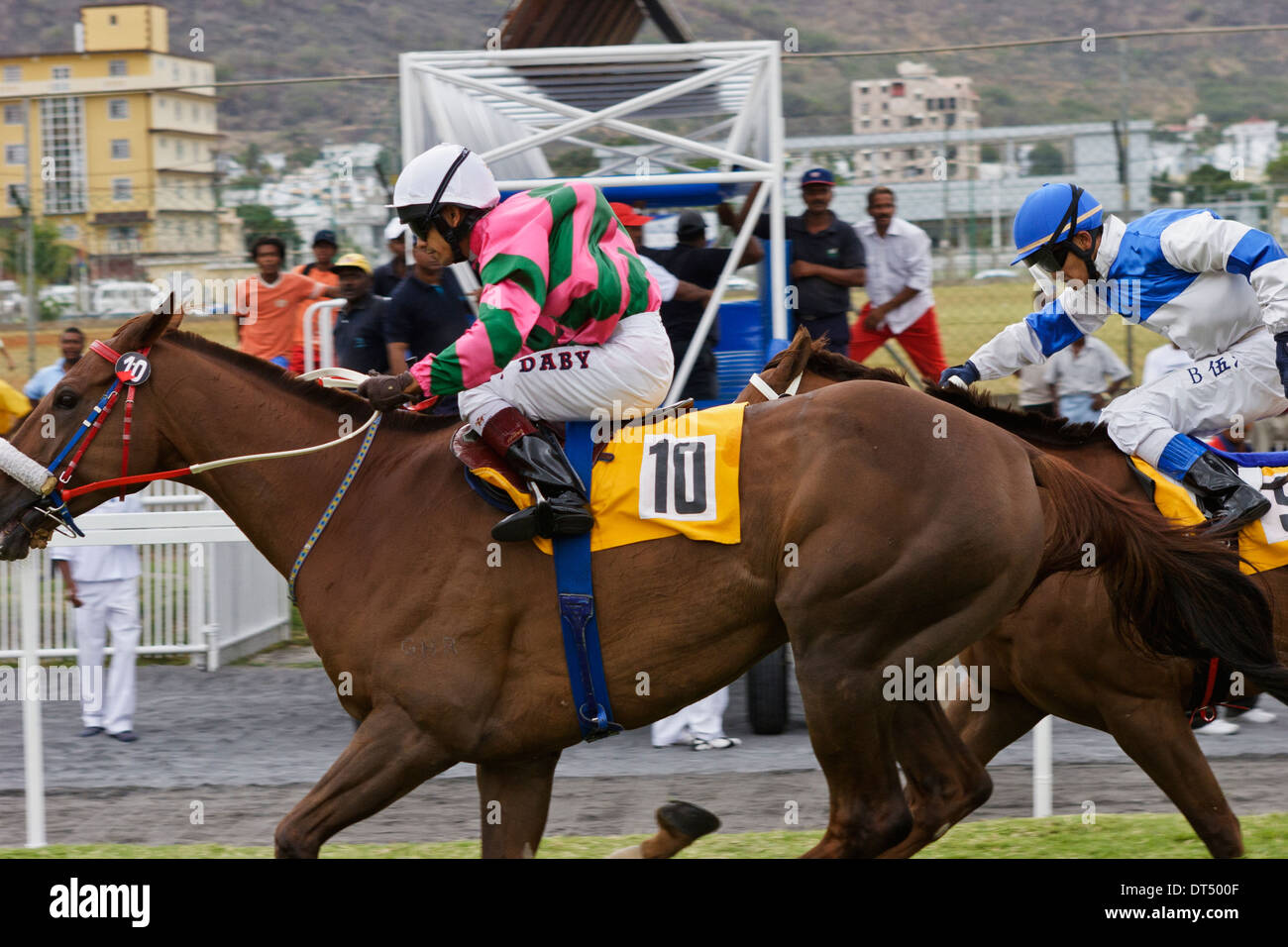 Horse racing at Champs de Mars, Port Louis, Mauritius Stock Photo Alamy