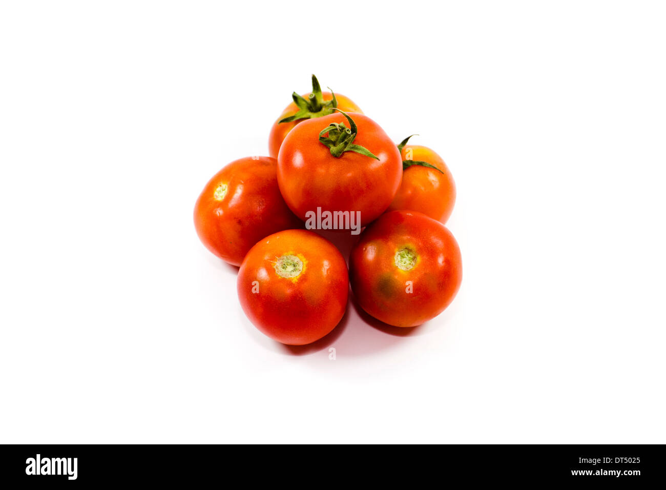 Tomato field Cut Out Stock Images & Pictures Alamy