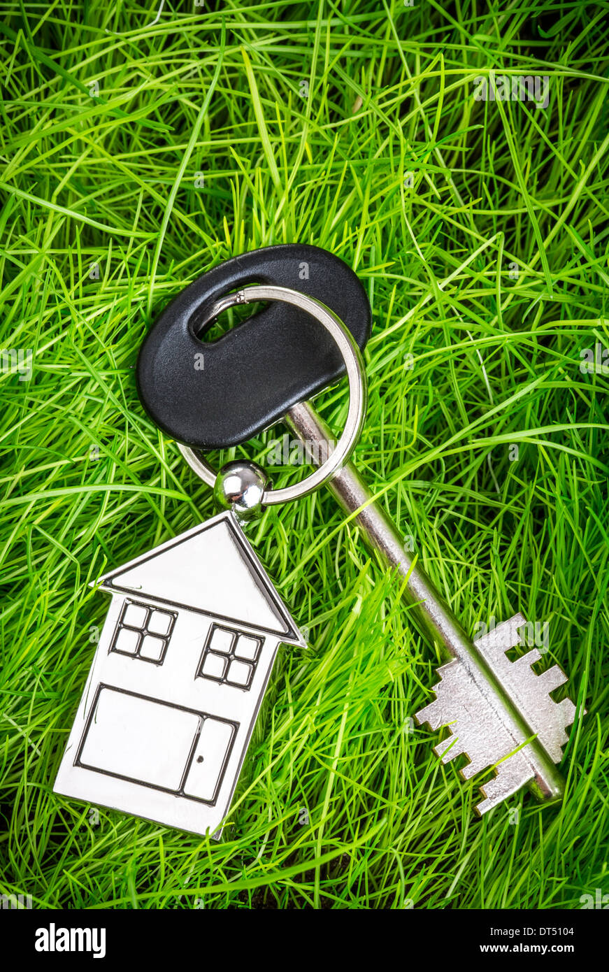 House Key On The Green Grass Stock Photo Alamy