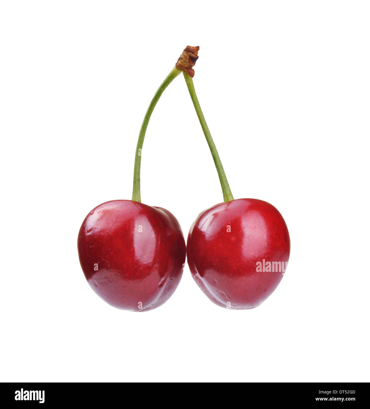 Two red fresh cherry close up on white Stock Photo