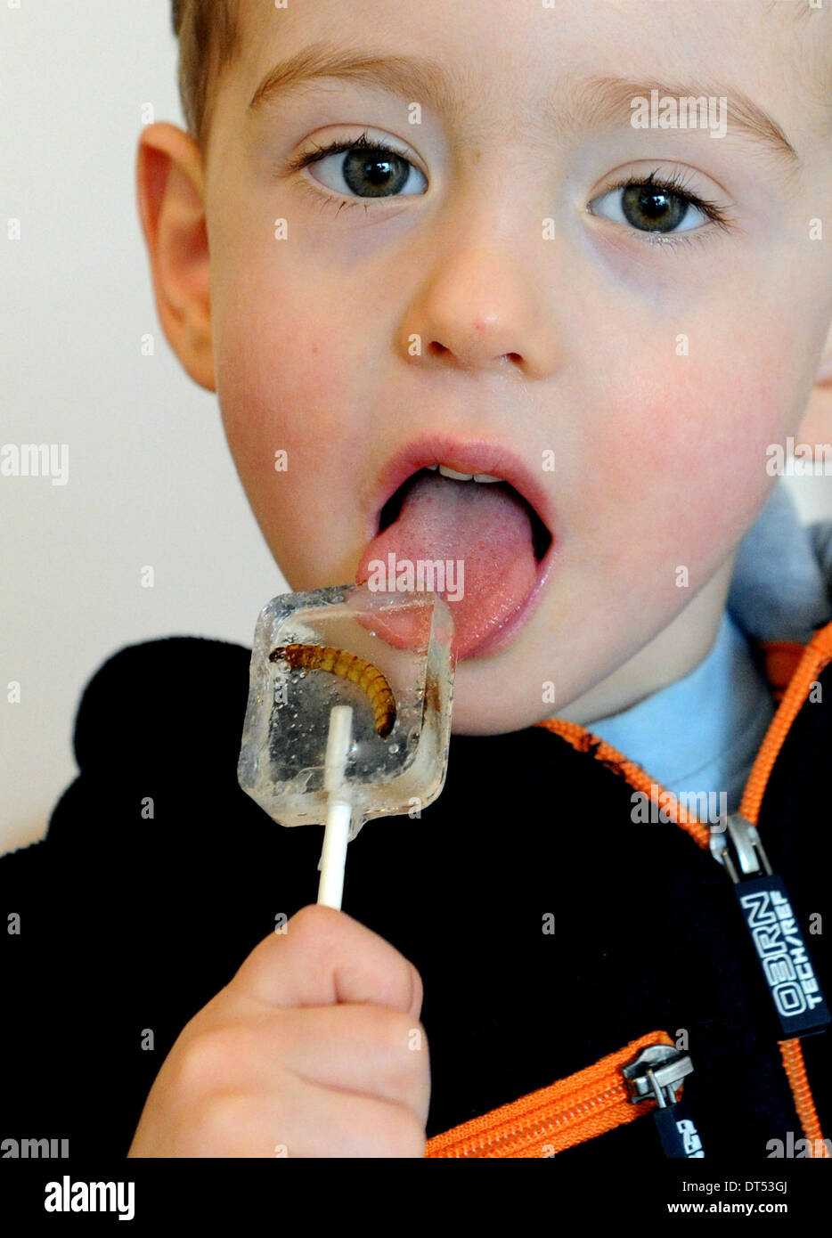 Aukrug, Germany. 25th Jan, 2014. Three year old Tibo tries a lollipop with a Zophobas (larvae of giant black beetles) and meal worms sit on a table ready to be eaten in Aukrug, Germany, 25 January 2014. 43 year Stefan Krauss has run an internet store for edible insects. Photo: CARSTEN REHDER/dpa/Alamy Live News Stock Photo