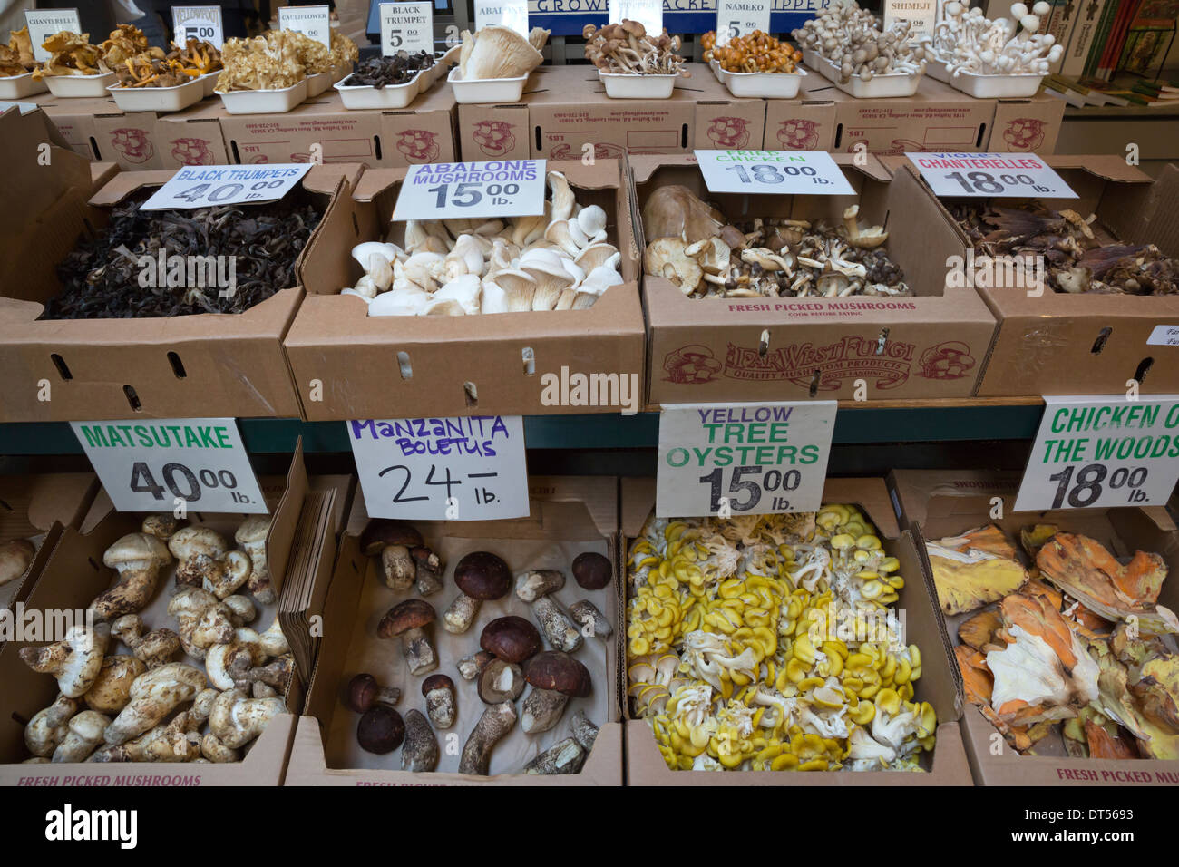 Mushrooms at the Ferry Building Marketplace Stock Photo