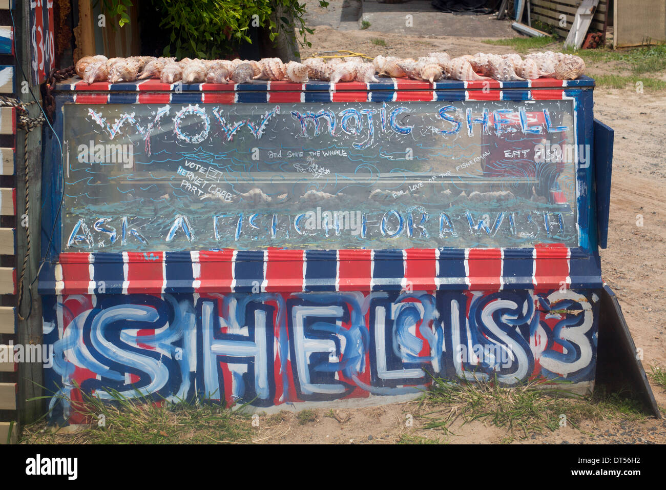 Sea shells for sale for A$3 each at stall with payment at honesty box ' Seal Rocks NSW New South Wales Australia Stock Photo