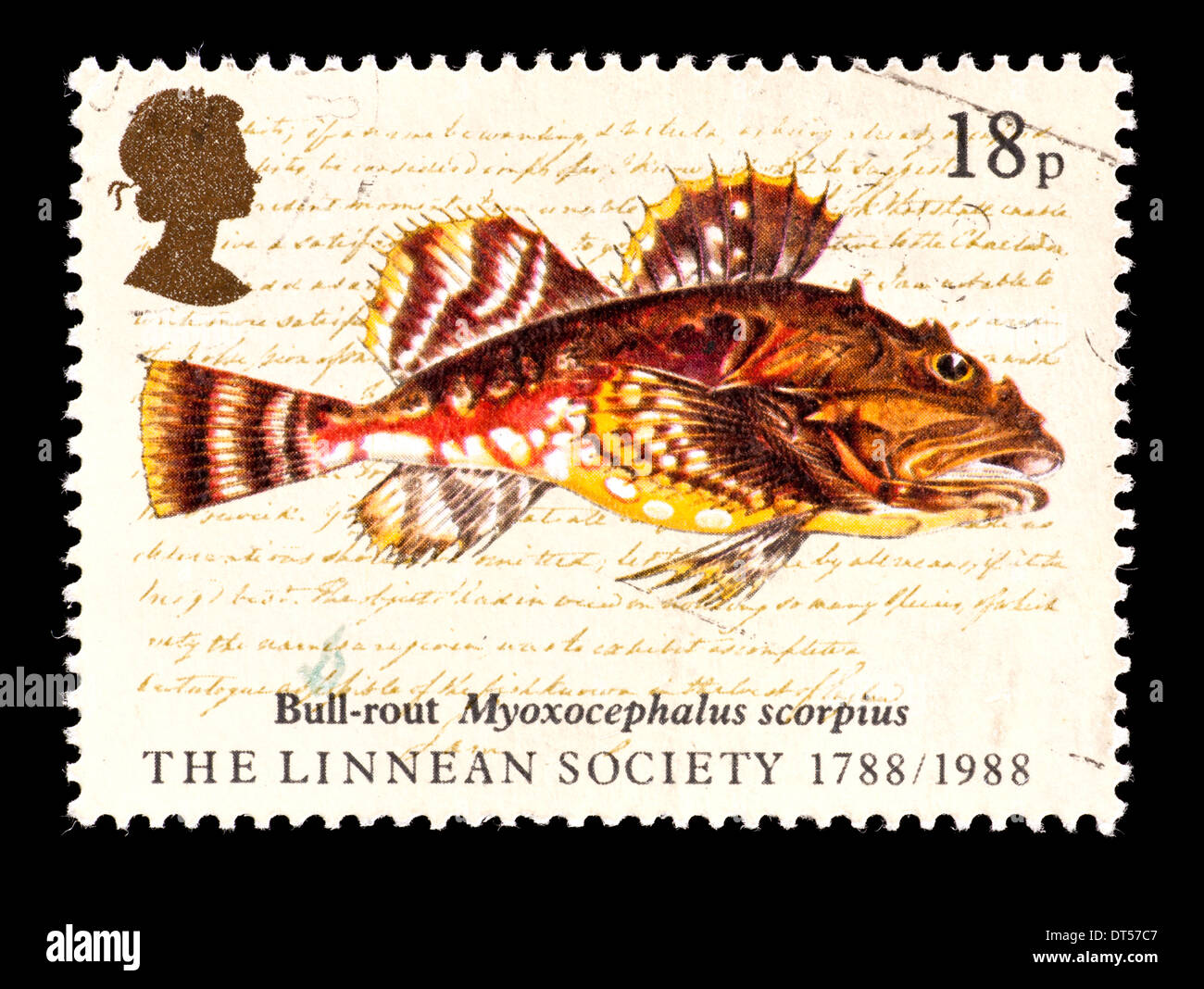 Postage stamp from Great Britain depicting a bull-rout (Myoxocephalus scorpius), for the bicentennial of the Linnean Society Stock Photo