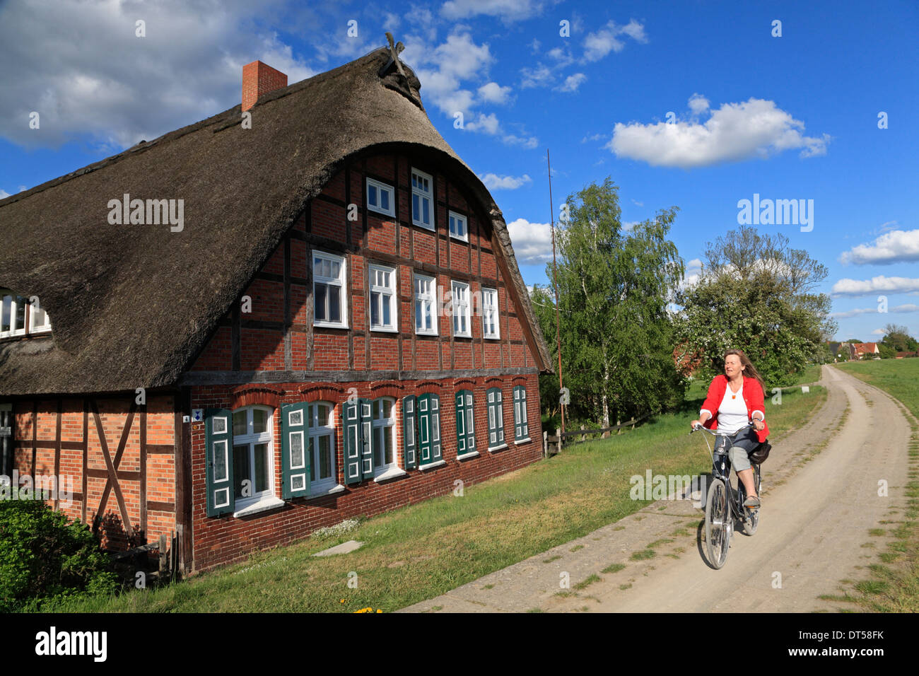Elbe cycle route, Besandten near Doemitz, Brandenburg, Germany, Europe Stock Photo