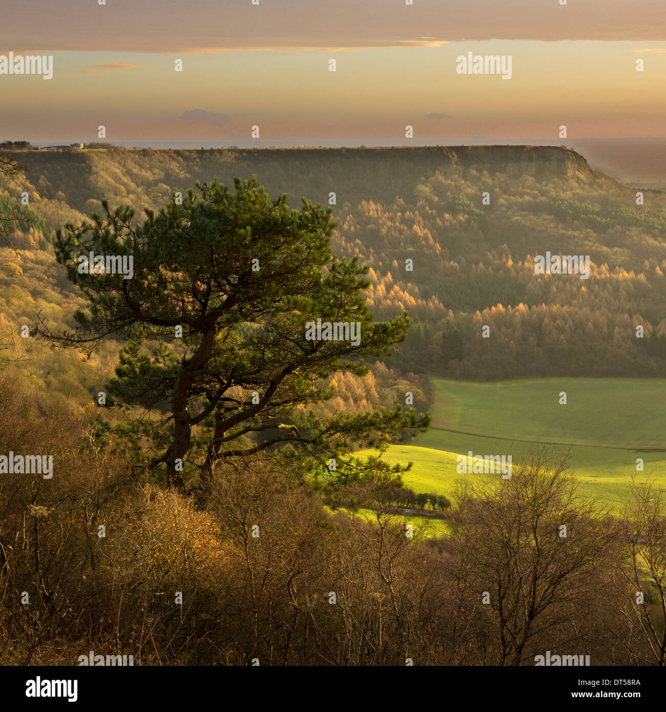 Roulston Scar viewed from Sutton bank. Stock Photo