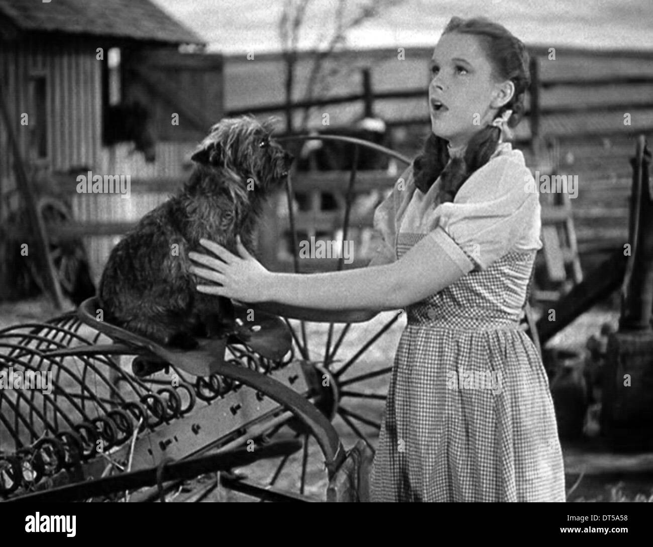 TOTO, JUDY GARLAND, THE WIZARD OF OZ, 1939 Stock Photo
