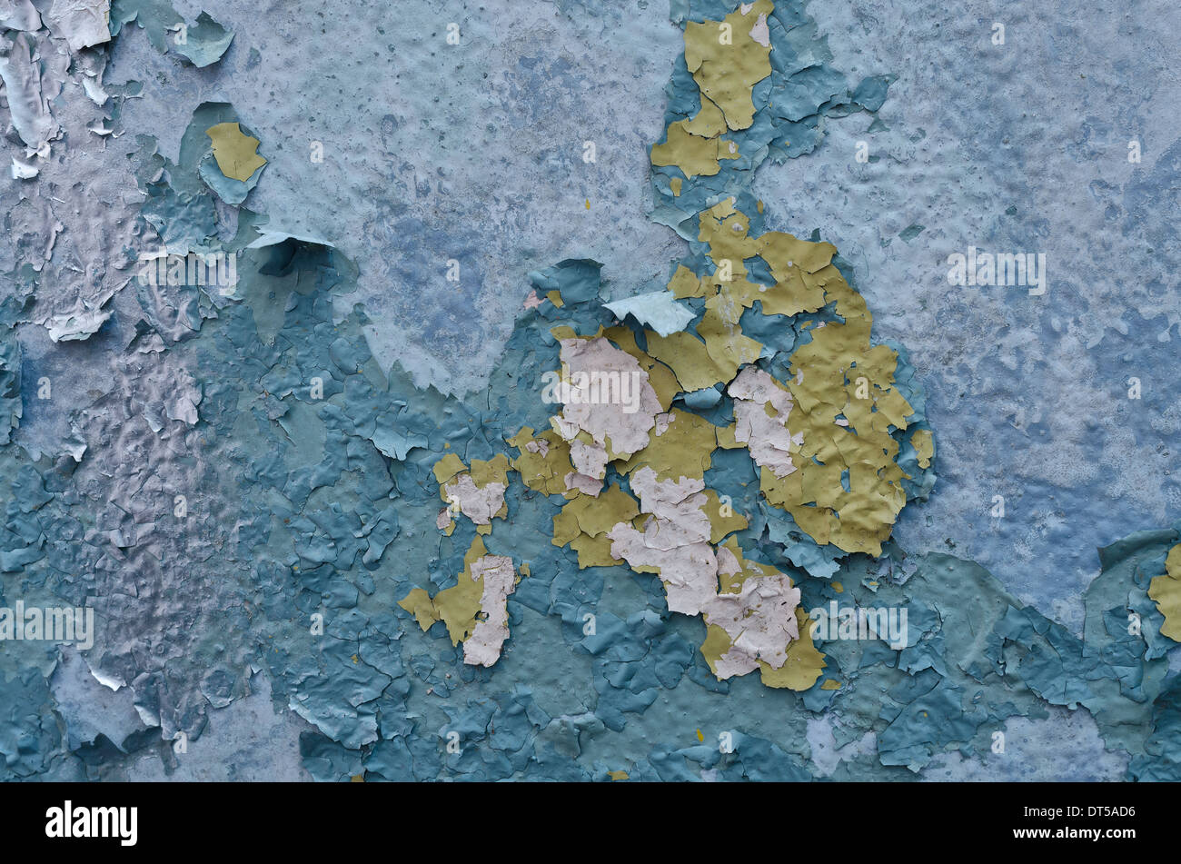 peeling interior emulsion paint and graffiti on wall waterlogged