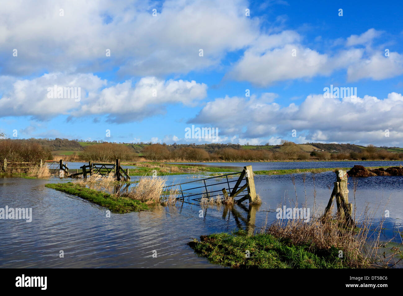Flooding, Somerset Levels, UK 2014. Flooded farm land on West Sedge Moor Stock Photo