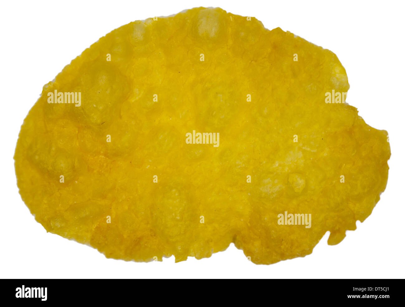Macro image of one corn flake on white Stock Photo Alamy