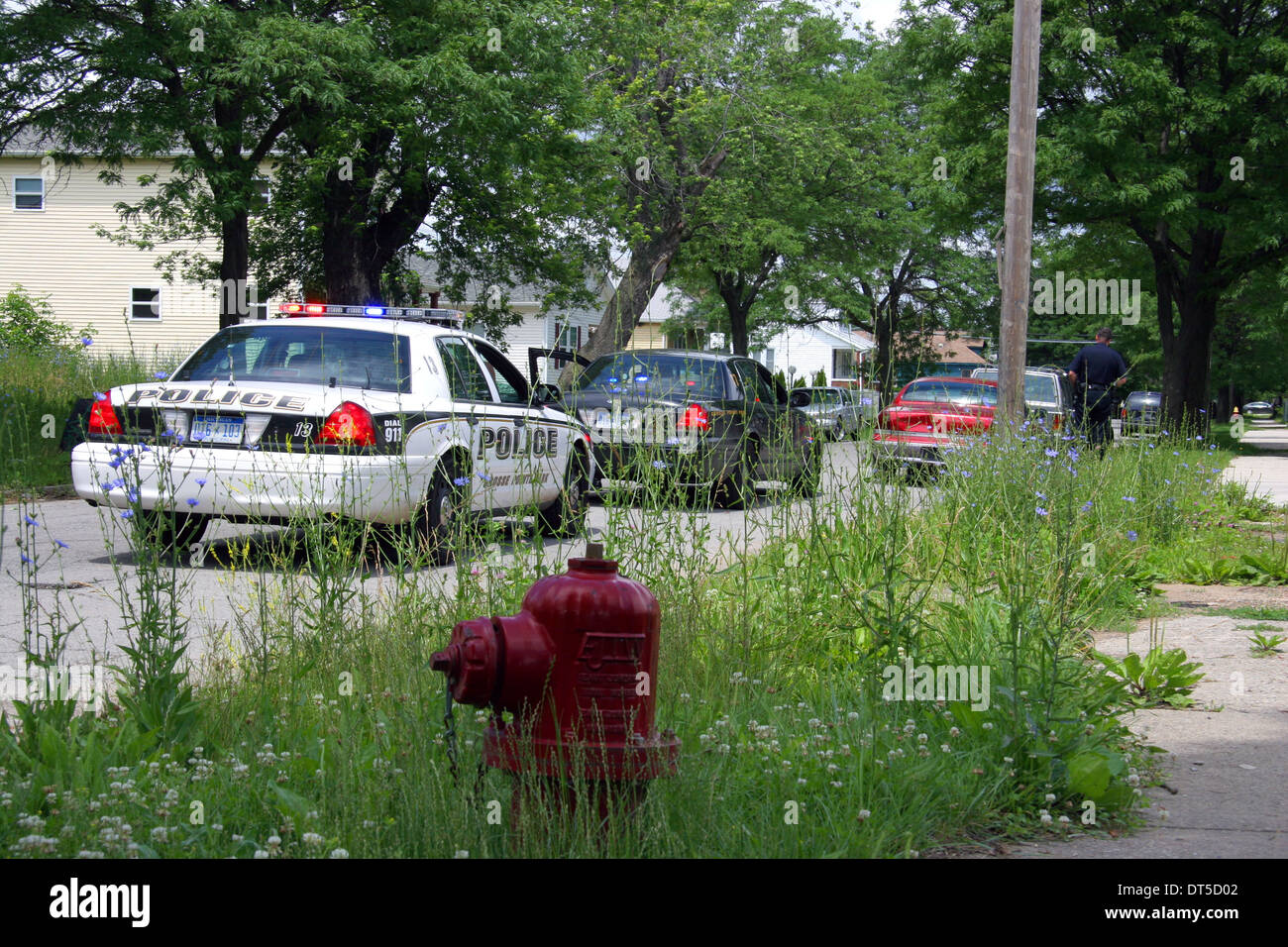A Grosse Pointe Park police department cars in an overgrown street in