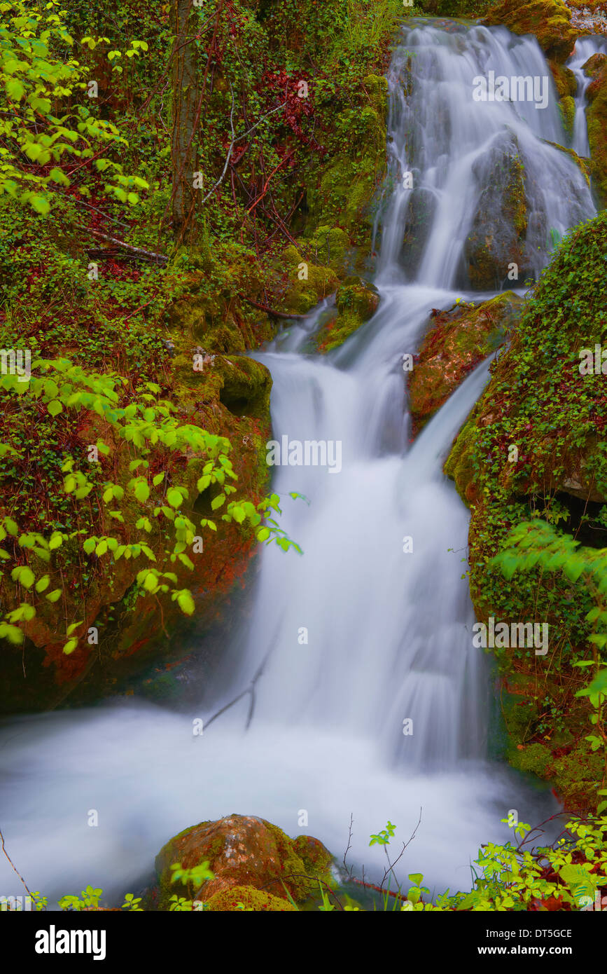 Urederra River, Urbasa Natural Park. Urederra river near its Source ...
