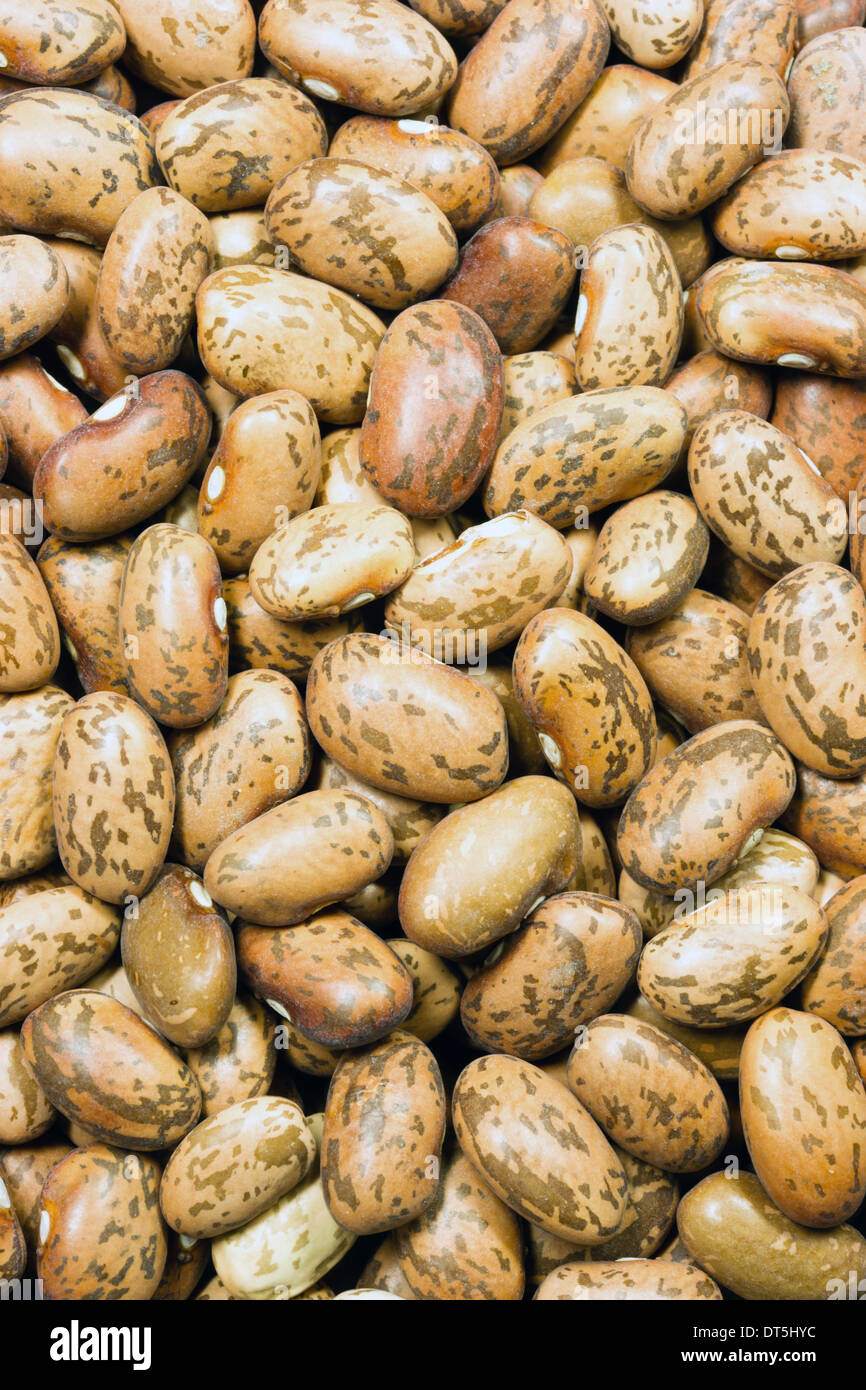 Unrinsed dry Pinto Beans food ingredients in a pile Stock Photo
