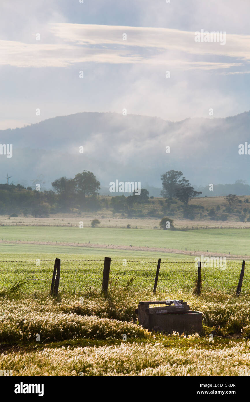Tasmanian country landscape with fog and