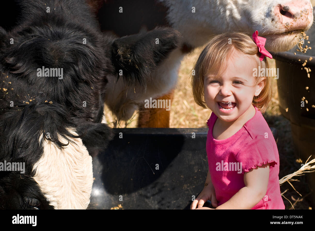 Cow girl hi-res stock photography and images - Alamy