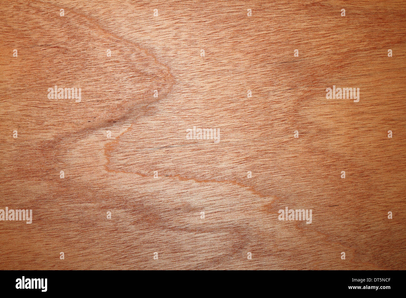 beautiful textured wood veneer, brownish color Stock Photo