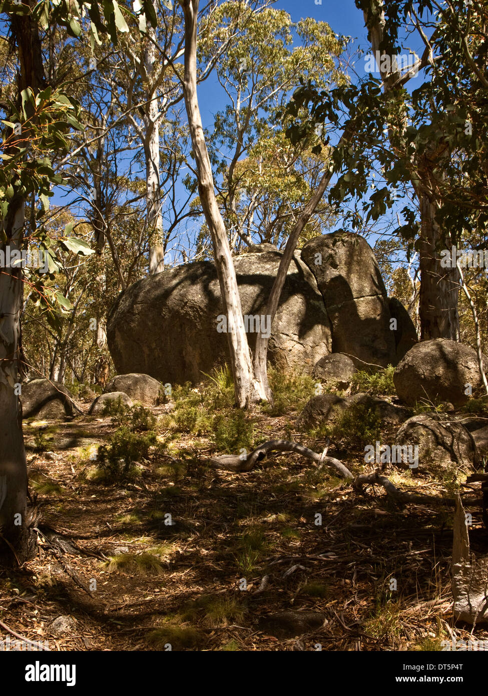 Boulders in the bush, Snowy Mountains, NSW, Australia Stock Photo
