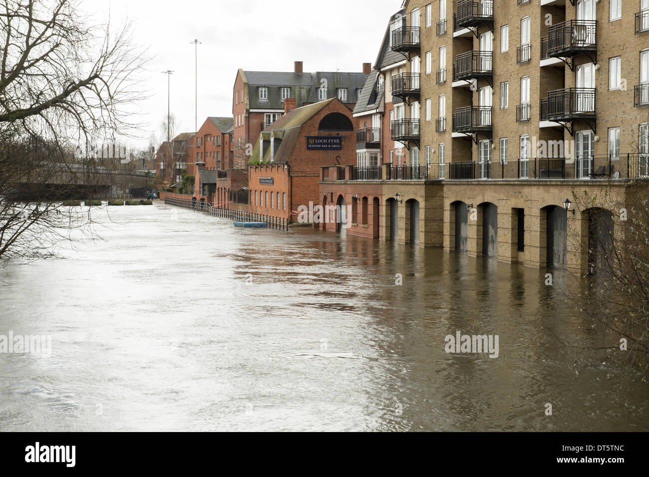 Reading, Berkshire, UK. 9th February 2014. Floodwaters threaten riverside housing and restaurant, Kennet and Avon canal, Reading, Berks. Credit:  David Hammant/Alamy Live News Stock Photo