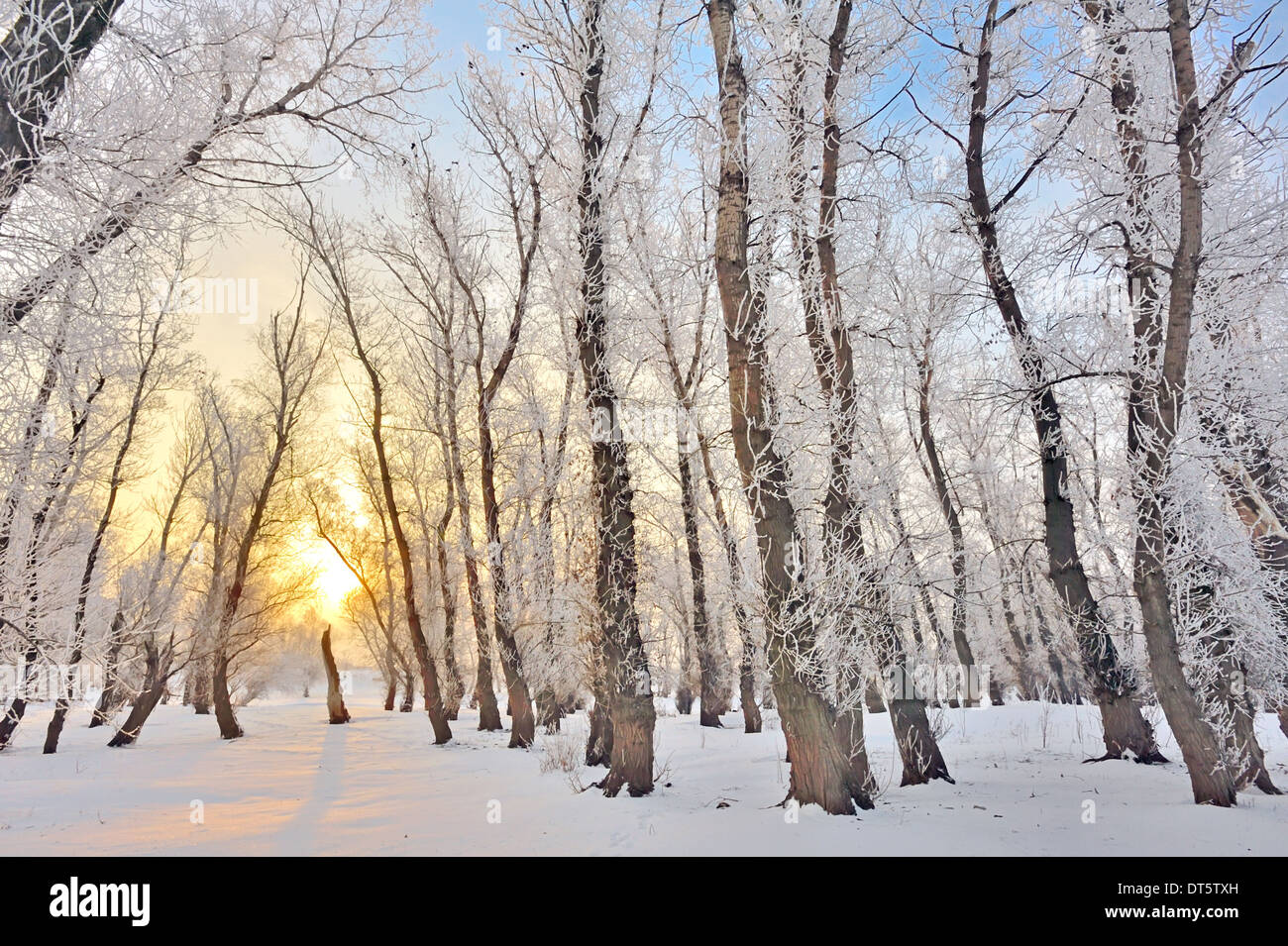 Rising sun hi-res stock photography and images - Alamy