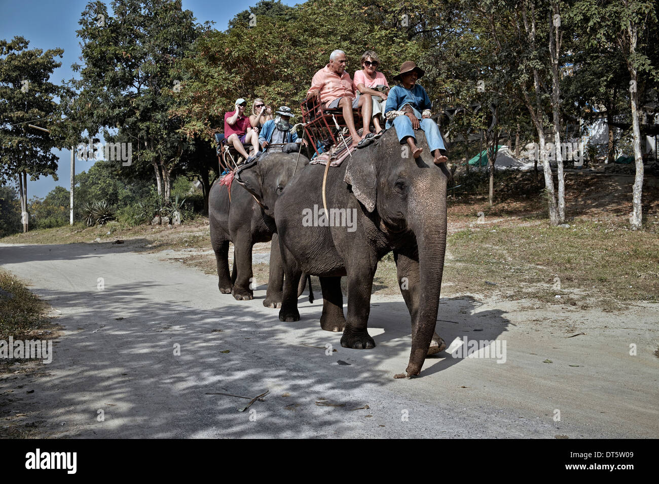 Tourists and mahout elephant trekking in Thailand tourism S. E. Asia Stock Photo