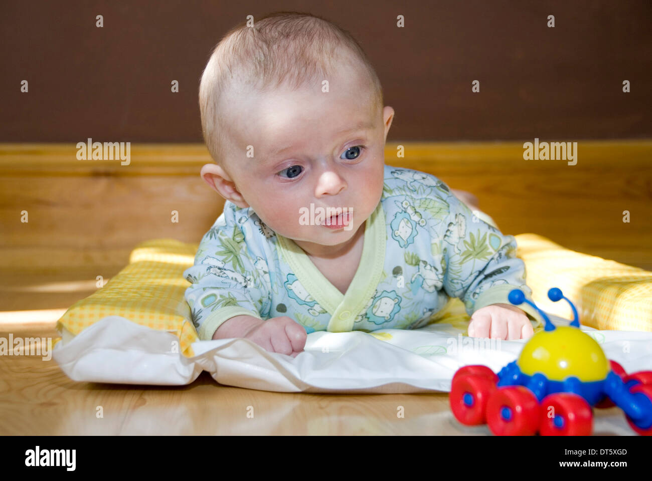 Baby boy aged 3 months enjoying tummy time lying down watching a toy ...