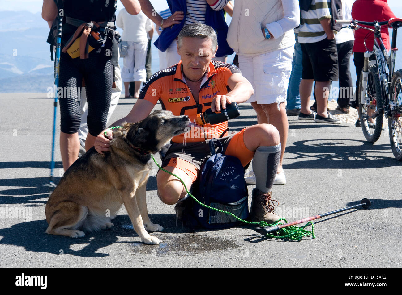 On top of Mount Ventoux, a cyclist hydrating his dog after climbing (France). Cycliste hydratant son chien au sommet du Ventoux. Stock Photo